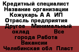 Кредитный специалист › Название организации ­ Кожукарь А.А, ИП › Отрасль предприятия ­ Другое › Минимальный оклад ­ 15 000 - Все города Работа » Вакансии   . Челябинская обл.,Пласт г.